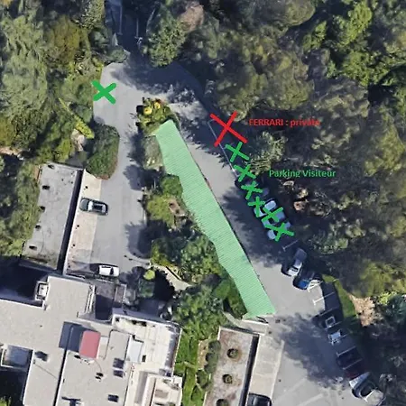 Les Palmiers * 멍똥