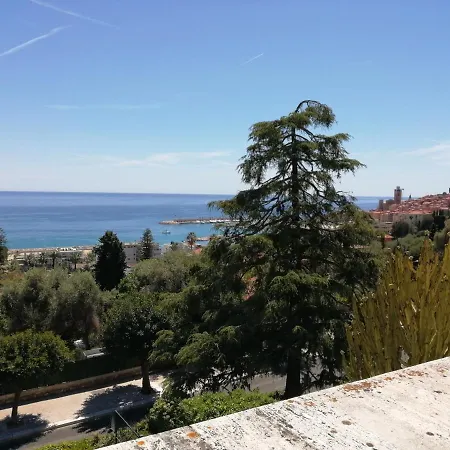 Les Palmiers * 멍똥