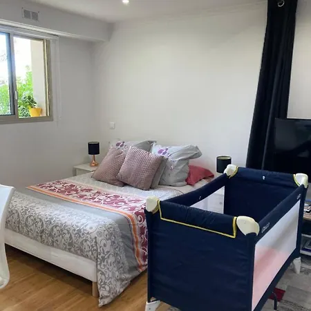 Les Palmiers Apartment Menton