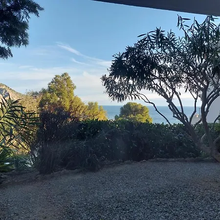 Les Palmiers Apartment Menton