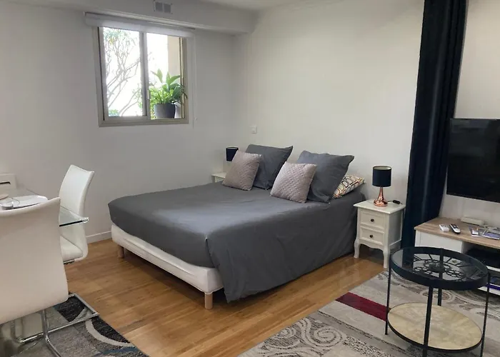 Les Palmiers Apartment *