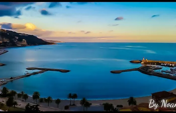 Apartment Les Palmiers